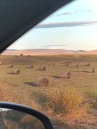 呼倫貝爾卡線:最美邊防公路名不虛傳