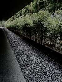 NEZU pottery museum Tokyo