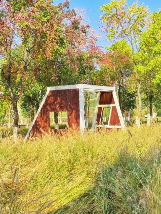 長沙小眾公園天花板磨盤洲生態公園溜娃不擠人 長沙小眾公園天花板磨盤洲生態公園溜娃不擠人