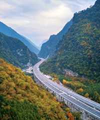 藏在川北的秘境！平武彩林+古寨+瀑布，5天承包深秋浪漫