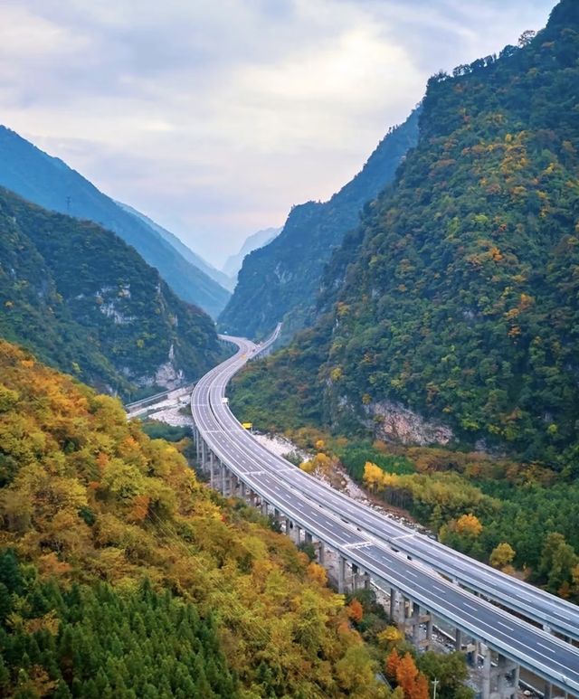 藏在川北的秘境！平武彩林+古寨+瀑布，5天承包深秋浪漫