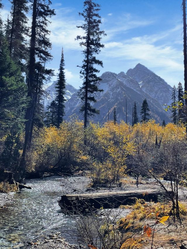 成都向北2h!闖入免費彩林秘境,邂逅川版喀納斯 成都向北2h!闖入免費彩林秘境,邂逅川版喀納斯