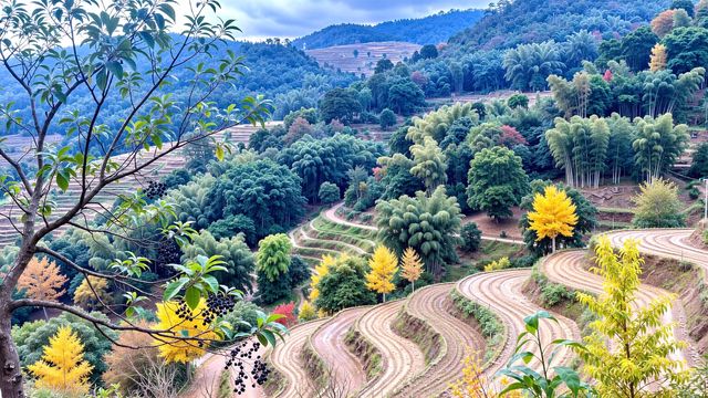 別再擠古鎮啦！600米高空發現「江南喀納斯」