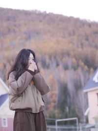 新疆喀納斯秋日童話遇見雪山松鼠的治癒時刻