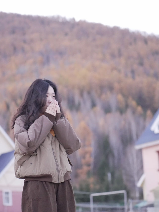 新疆喀納斯秋日童話遇見雪山松鼠的治癒時刻 新疆喀納斯秋日童話遇見雪山松鼠的治癒時刻