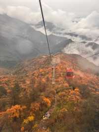 瓦屋山秋冬逃票攻略！免費期衝啊 