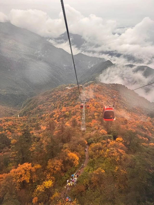 瓦屋山秋冬逃票攻略！免費期衝啊 
