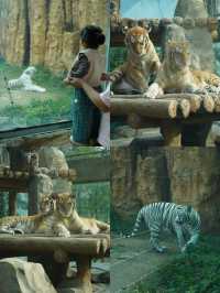 寧波出發2天1晚親子遊！把快樂焊在娃臉上