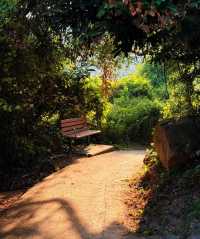 這些港澳秘境太適合和TA一起去了