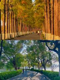 武漢東湖騎行封神!20km秋景路線,每一幀都美到窒息