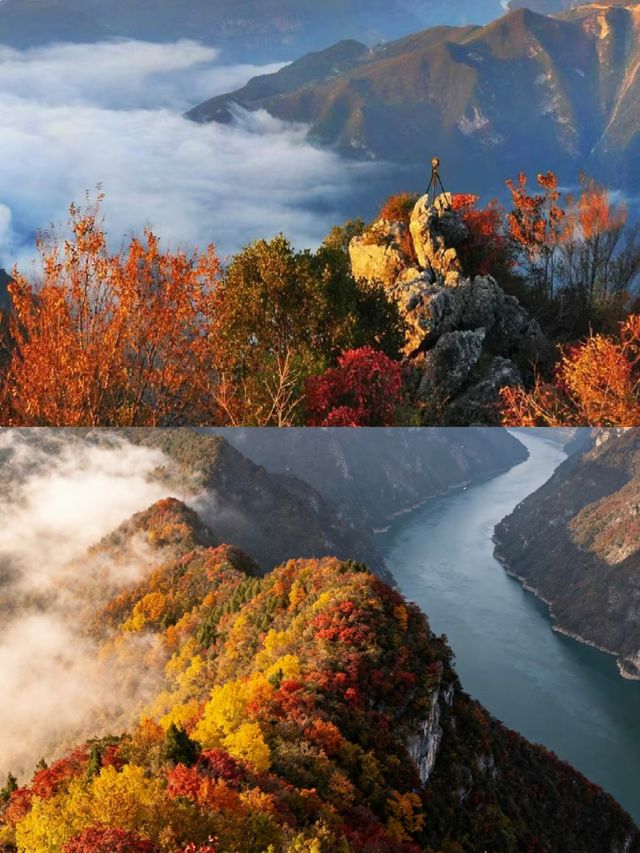 三峽之巔徒步｜紅葉季漫山紅遍絕美超治癒