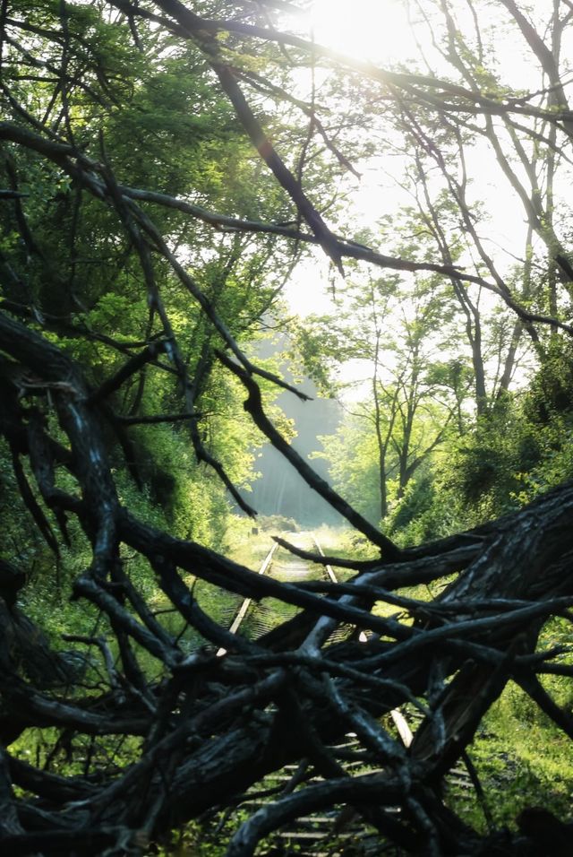 貴陽小眾拍照聖地！廢棄軌道隨手拍出大片感