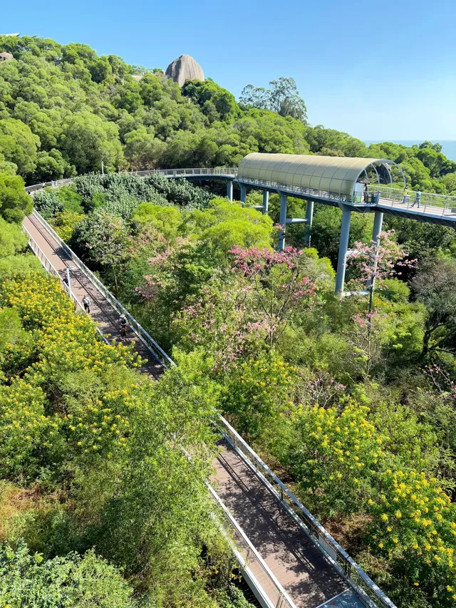 在廈門秋日最美山海步道全程下坡