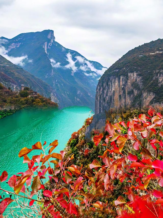 登臨三峽之巔，收藏一整個長江的秋天！