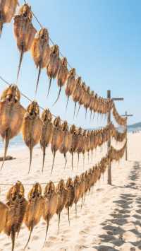 溫嶺彩色漁村+金沙灘｜闖入現實版童話世界說喜歡你的人可能很多