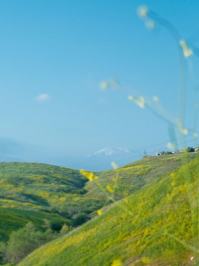 Chino Hills跑步路線運動起來真舒服