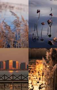 太原冰島 | 晉陽湖碎冰落日