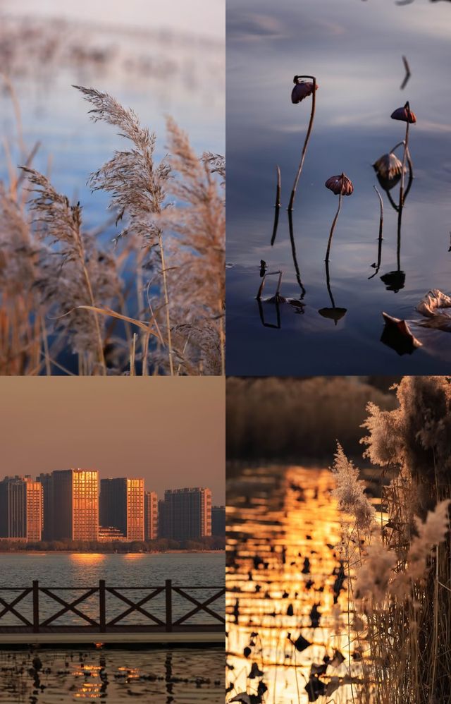 太原冰島 | 晉陽湖碎冰落日 太原冰島 | 晉陽湖碎冰落日