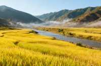 永仁4天慢遊:陽光、彝韻與山野風味的治癒之旅