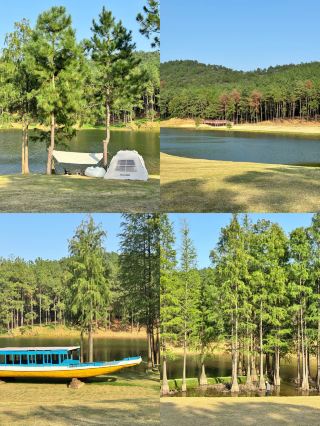 Forest-style Secret Winter Autumn Camping Spot