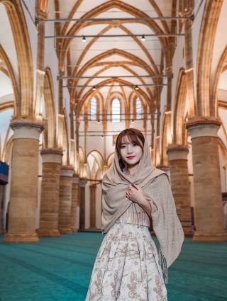 The world's last divided capital, Nicosia