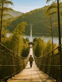 錯峰親子遊|南山竹海+天目湖超全攻略