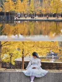 留住秋天的一百種方式