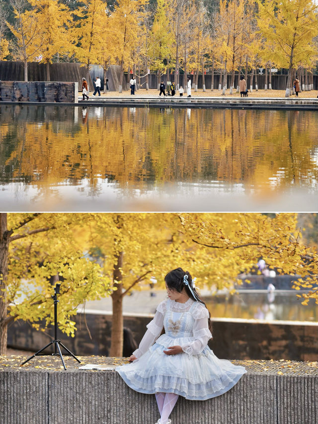 留住秋天的一百種方式