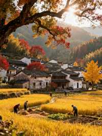 秋色限定江浙滬8個絕美古村落，避開人潮賞秋攻略