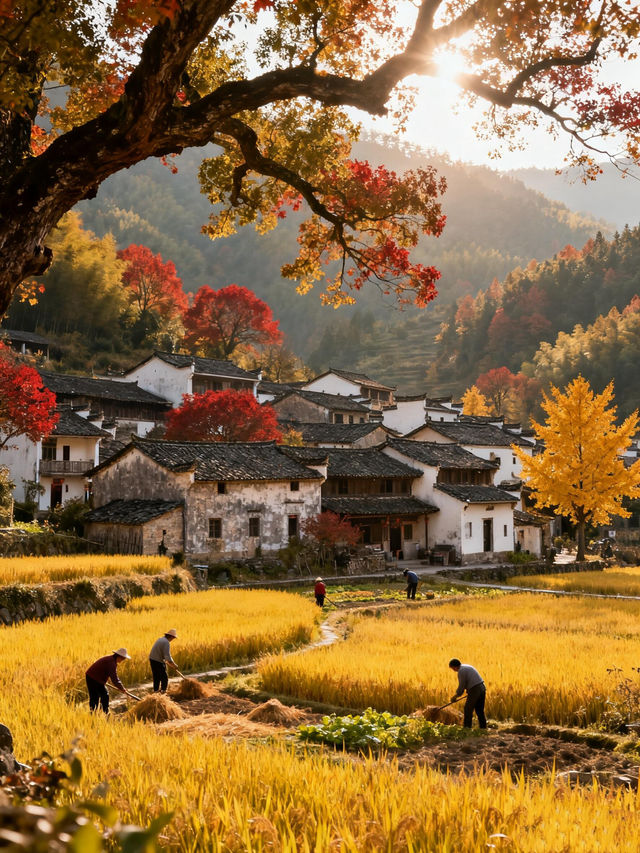 秋色限定江浙滬8個絕美古村落，避開人潮賞秋攻略