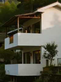 南寧冬日親子行｜上林阿樹院子遛娃記