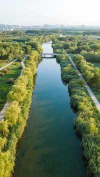 玉河濕地拍大片去哪條棧道？90%的人走錯了！本地攝影師私藏