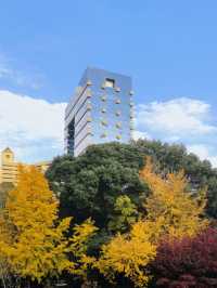 秋日限定!徐家匯公園紅葉暴擊市中心的調色盤炸裂了!