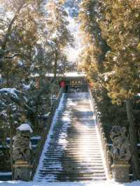 武當山冬日賞雪全攻略|紅牆金頂遇霧淞