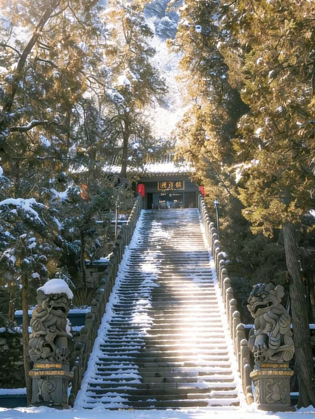 武當山冬日賞雪全攻略|紅牆金頂遇霧淞 武當山冬日賞雪全攻略|紅牆金頂遇霧淞