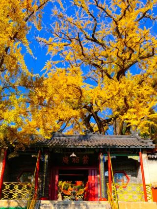 Путешествие с родителями выбирайте здесь