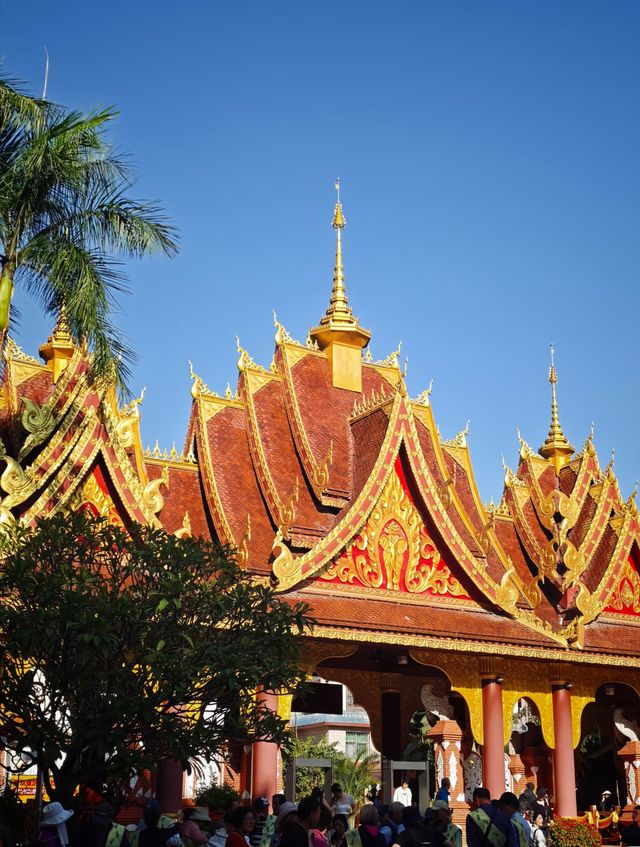 逃離寒冬！我在西雙版納過了一個25℃的夏天 