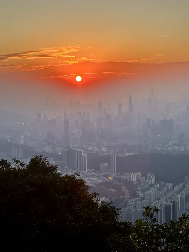偶遇梧桐日落 偶遇梧桐日落