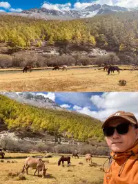 稻城亞丁的秋天，是上帝打翻的調色盤！