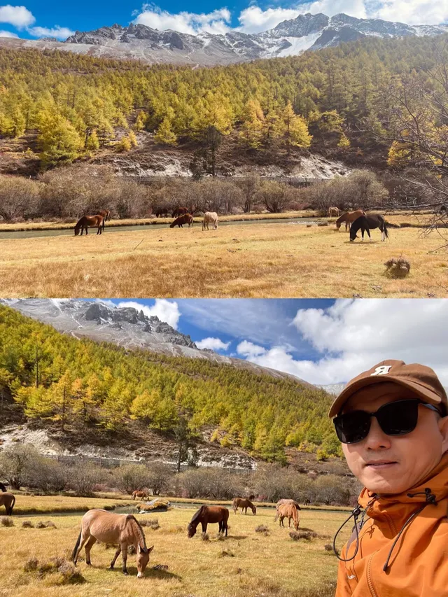 稻城亞丁的秋天，是上帝打翻的調色盤！