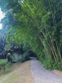 冬日要去南平4日遊攻略來啦