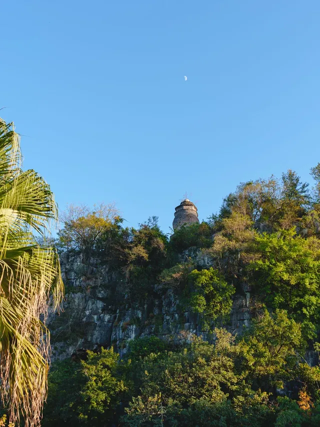 登象鼻山 登象鼻山