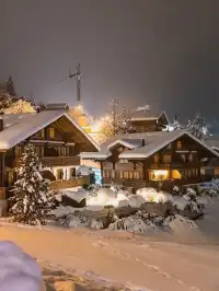 冬季少女峰打卡攻略!新手直接抄