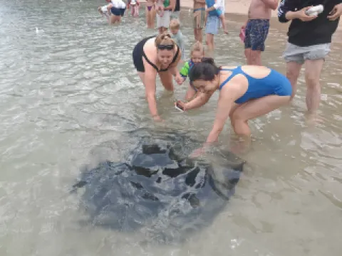 narooma seal = 2 last call two days and one night, issued Thursday