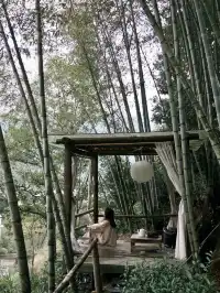 武夷山週末遊|兩日一晚吸氧飲茶計劃🫖