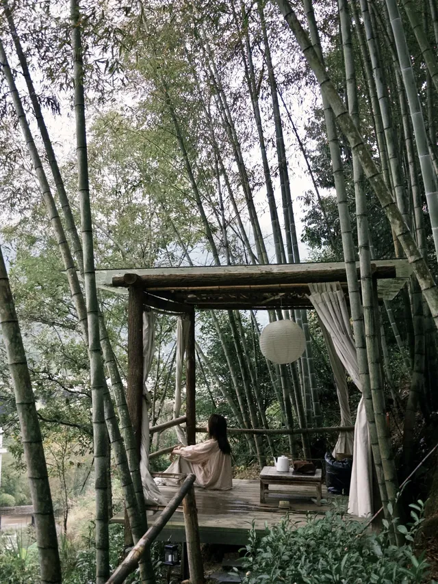 武夷山週末遊|兩日一晚吸氧飲茶計劃🫖 武夷山週末遊|兩日一晚吸氧飲茶計劃🫖