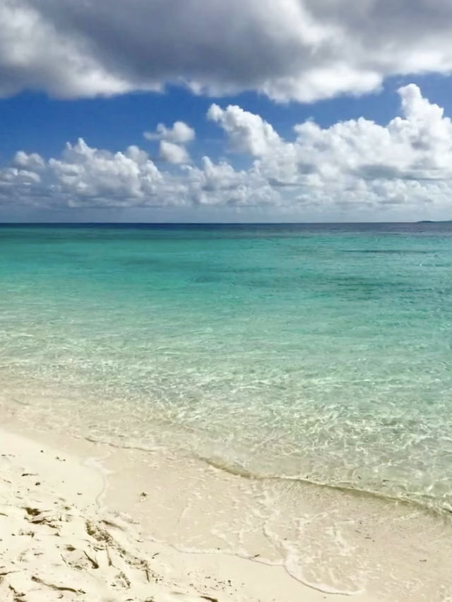 馬來西亞的隱世海島馬達京島也太絕了吧！這個小眾天堂不僅有果凍海、白沙灘，還有超震撼的珊瑚群，簡直是
