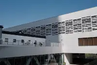 穿越時空的藝術盛宴上海博物館東館必看展