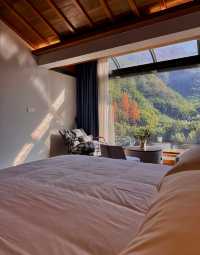 安吉這家神仙民宿太絕了！推窗就是整片竹海