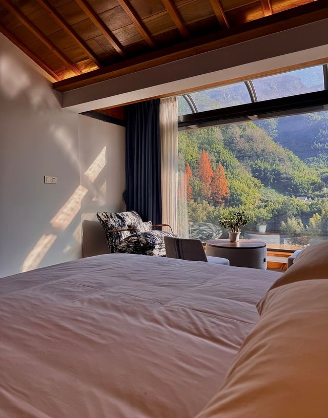 安吉這家神仙民宿太絕了！推窗就是整片竹海